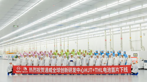 福州哪家饲料厂家与广州十强饲料公司有合作？