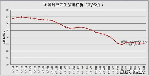 2026年8月4日猪价分析预测，明日猪价会上涨还是下跌？