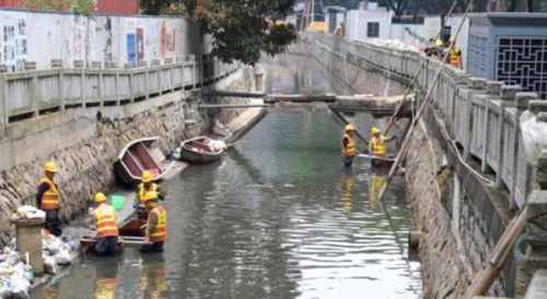 美国黑樱桃市场价格波动，产地遍布全球