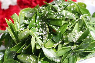 绿叶菜的养护与食用