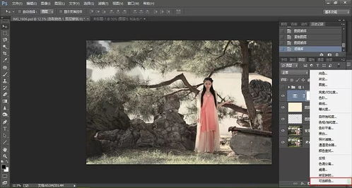 第四步：蒙版应用