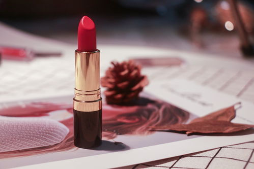 口红花与玫瑰花的美丽邂逅