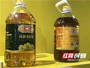 金浩山茶油：原产地直供，揭秘油茶种植与盈利之道