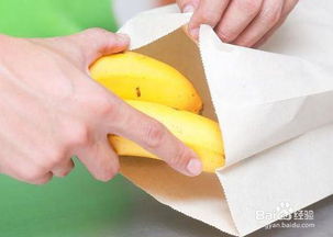 香蕉催熟剂使用后青香蕉放入密封袋需要扎口吗？