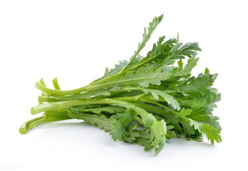 茼蒿种植技术，高产的秘密武器