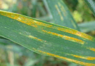 防治方法，你真的Zuo对了吗？