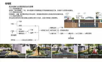 植物在可持续景观设计中的重要作用