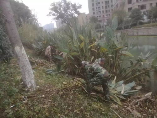 施工与养护，相辅相成