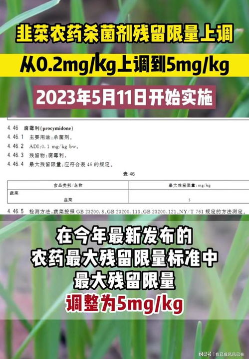 5. 一下平安合法最重要！