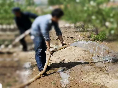 关键词：浇水不足判断花浇水浇少了