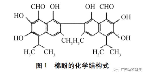 生物性饲料替代豆粕，能否实现产业链重构，降低成本18%？