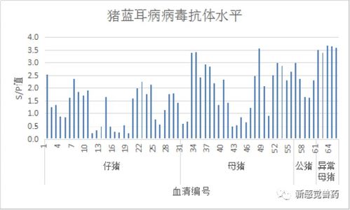 猪场疫病抗体监测与免疫效果评估