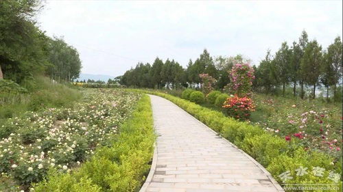 生态园打造， 市民休闲新去处