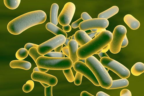 百菌清：真正的环保卫士