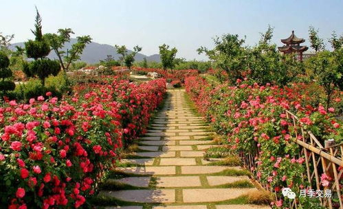 我的保命六式：如何选择合适的固定方法