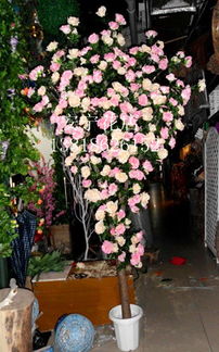 玫瑰插枝时间因环境和品种而异，般需几周至几个月。