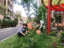 温州市委市政府发布打造现代化花园城市目标