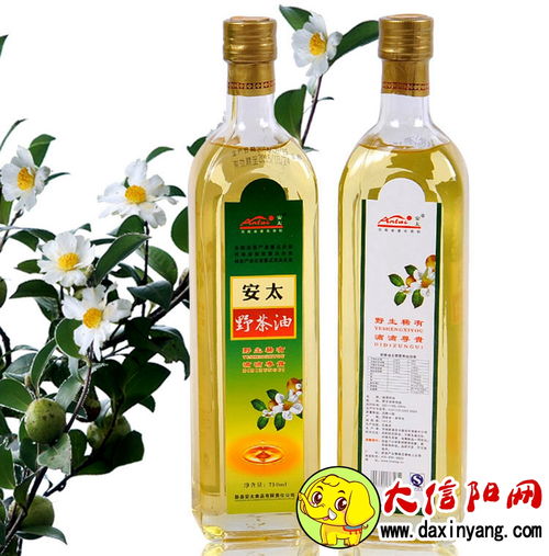 揭秘广西桂林茶油：信阳市价格大揭秘！