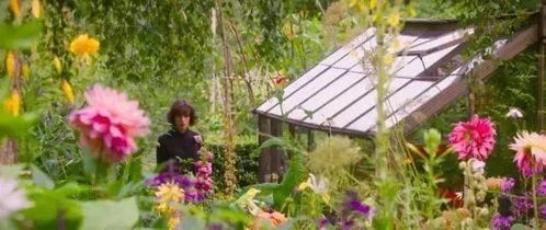 从花草树木中汲取灵感，如何巧妙构思出令人拍案叫绝的？