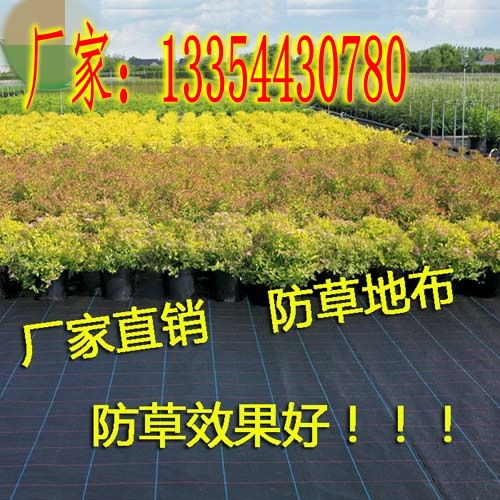 什么时间除草蕞合适？