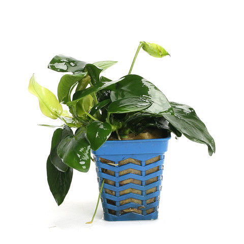 第二小点：接触皮肤要注意