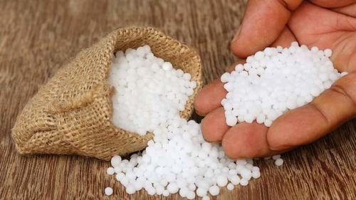 过度施用氮肥的后果