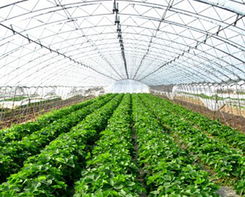 温州四季花园国际宴会中心：婚宴新选择