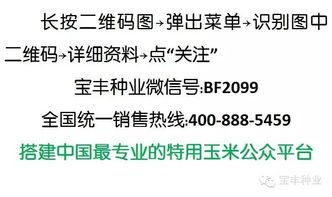 雨季丙环唑使用疑虑大揭秘