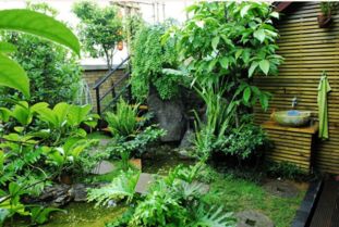 搭配植物， 打造多彩庭院