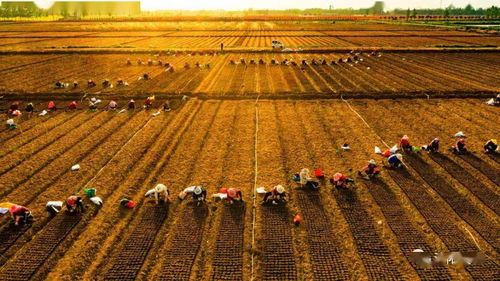 敢为人先，奋斗改变命运