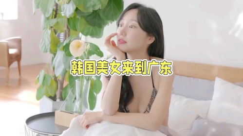 双青柠，青涩中藏着什么秘密