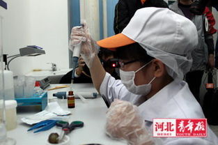 三、 如何正确处理农药残留污染问题