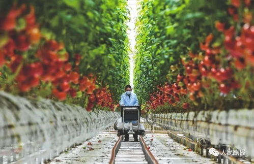 合肥抗疫故事：风雨同舟