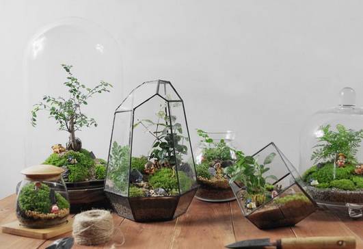 微信群里的绿意盎然