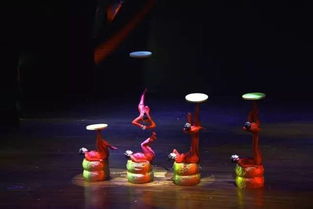 花瓣不掉的技巧