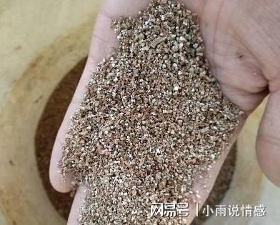 平安使用多菌灵：注意事项大盘点