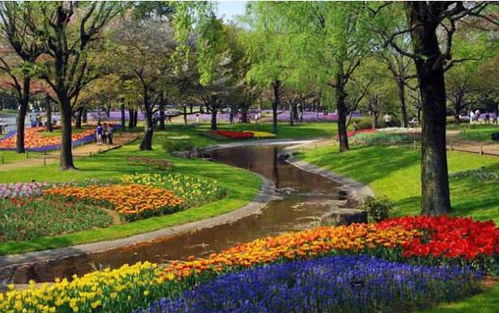 三、 园林绿化工程的养护管理