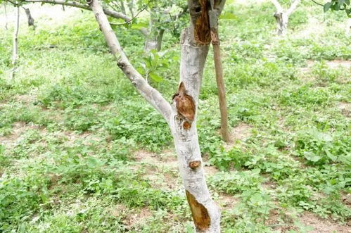 综合治理，防范为主