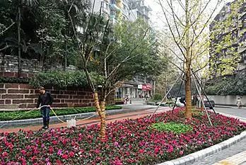 如何栽种百花园门？