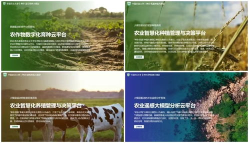 优化农业养殖风险评估、决策与育种改良策略