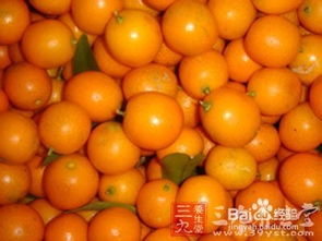 银杏树喜光耐寒，适生于排水良好、肥沃湿润的酸性或微酸性土壤