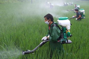 农药的用量与分类