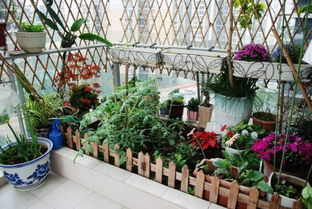 护花草，农药选什么？保护花草又避免污染，这可真是个难题！