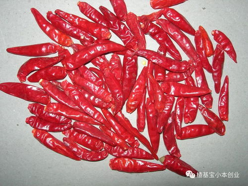 干辣椒和花椒,捣成碎末;熟花生褪皮,染后将其压碎的花生;捣碎3种原料将加入咸盐,味精搅拌均匀;