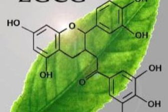 沤肥核心成分是有机物，为什么油脂这种非有机物不能加入