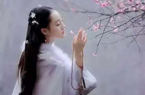 思念之情，用哪种花最传情