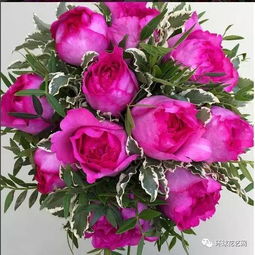 5. 蓝玫瑰：神秘浪漫