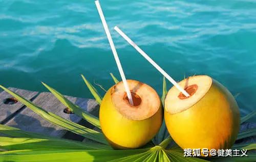 夏威夷椰子秋天怎么养？光照和水分如何把握
