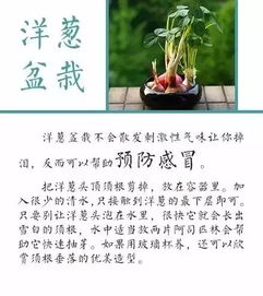 化学防治， 农药来帮忙