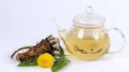 注意事项，平安饮用